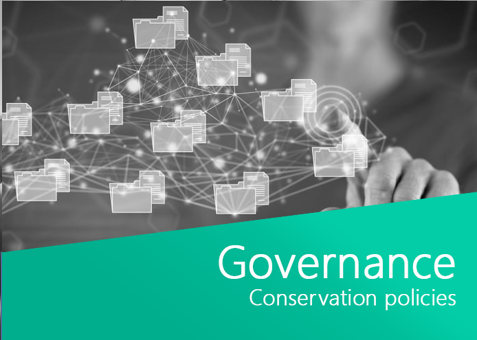 information policy governance