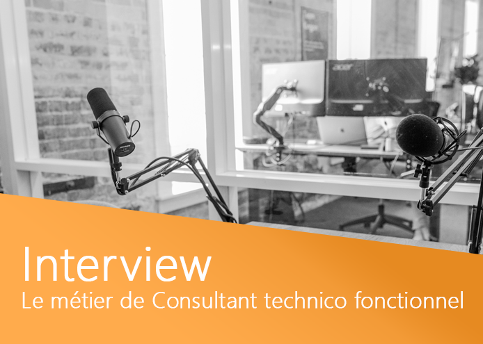 itw-consultant-technico-fonctionnel