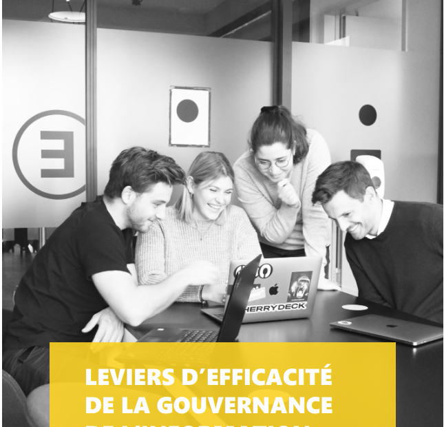 LB leviers GouvInfo Everteam