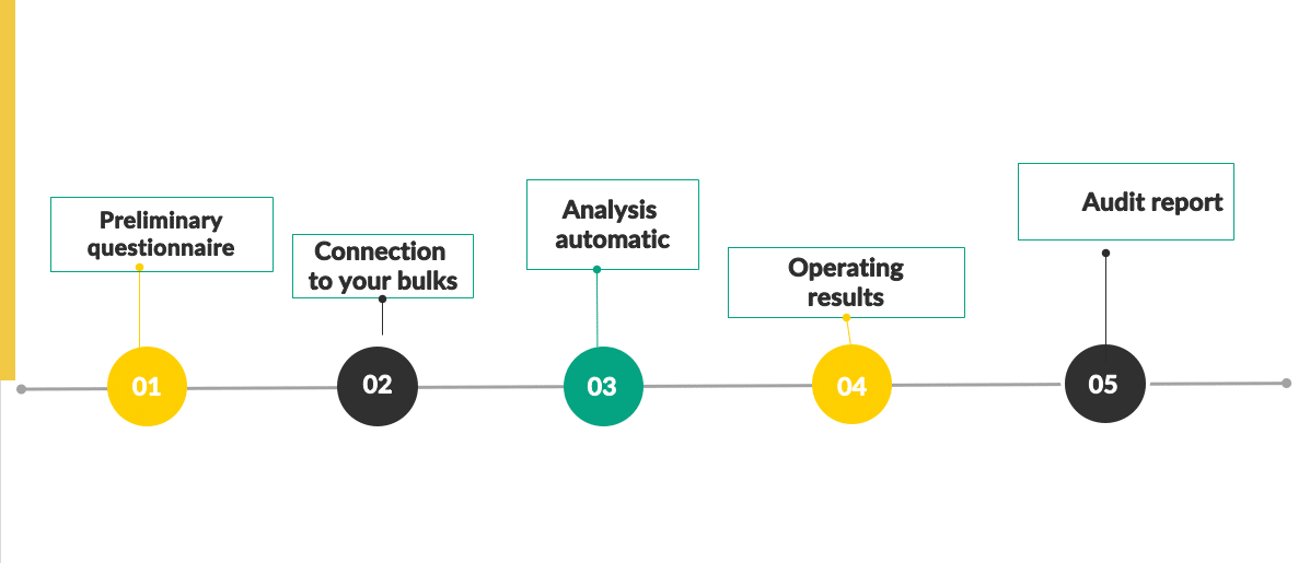 audit-steps everteam